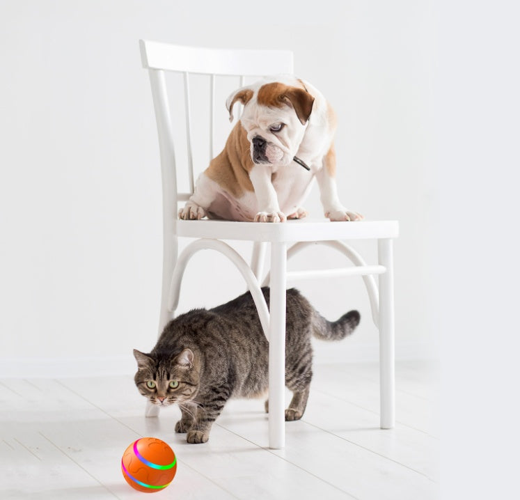 Smart Self-Rolling Pet Ball